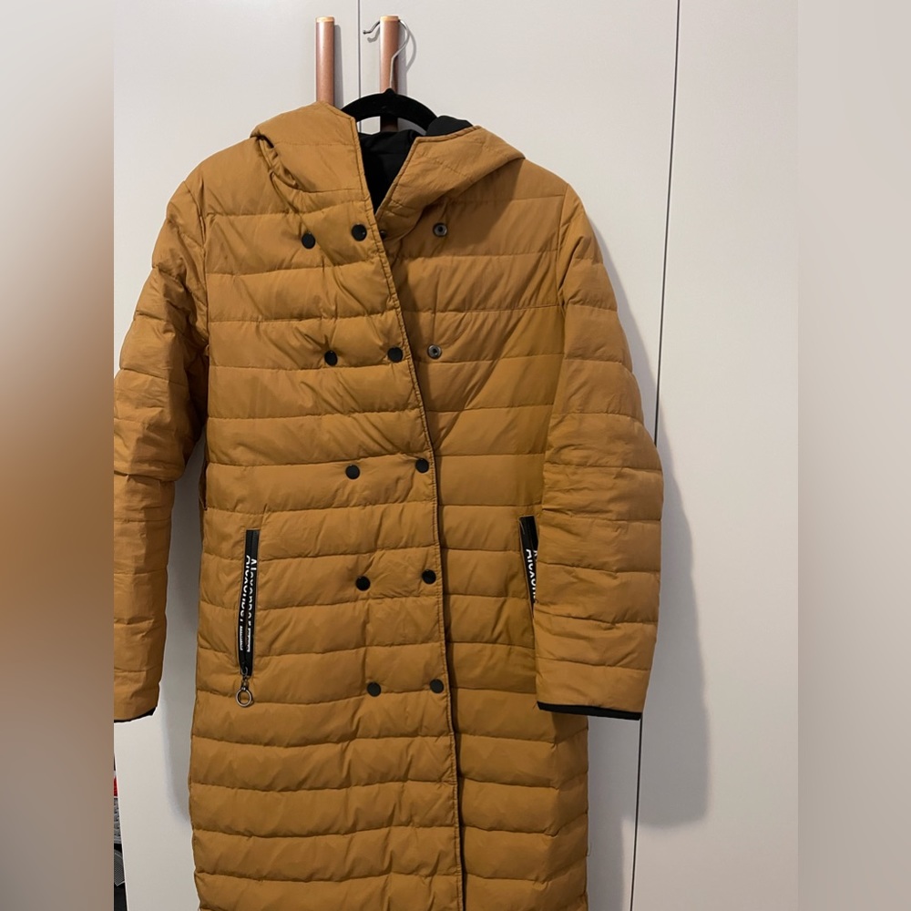 Coat & Jacket